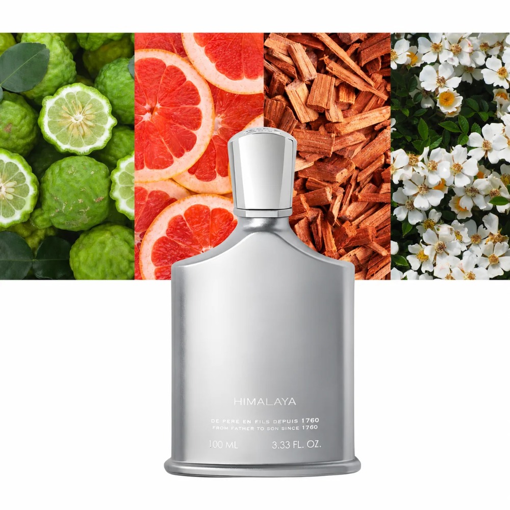 Aventus Erkek Parfümü 100ml ED - Perfume High Fragrance incelemesi ve fiyatı